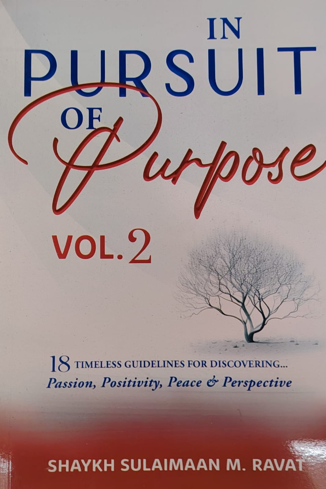In Pursuit Of Purpose Vol 2